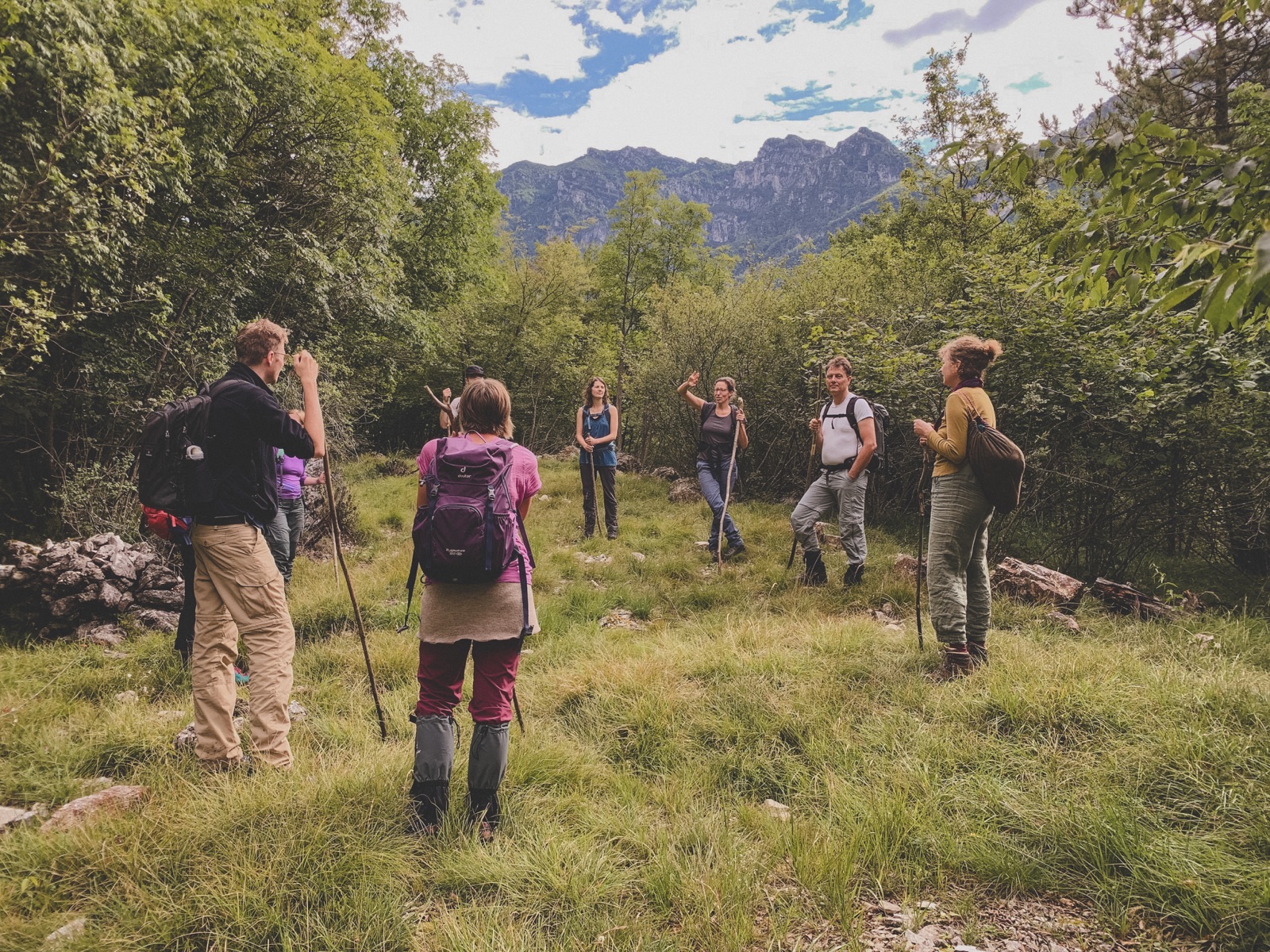 Gruppe in der Natur – Miteinander auf dem Weg