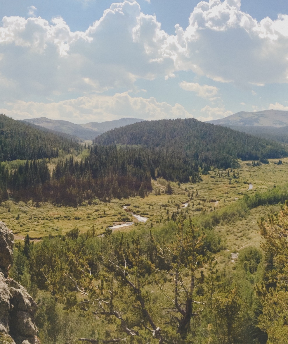 Weite Wildnislandschaft mit Wald und Flusslauf