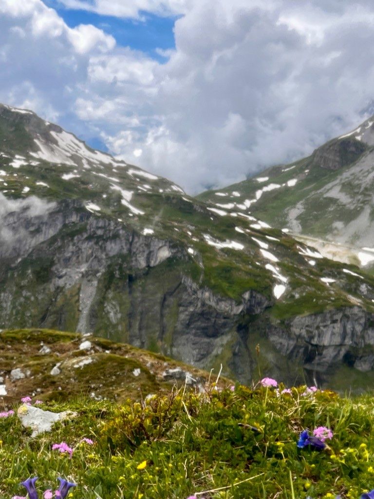 Alpines Blumenmeer und Bergpass mit Wolken im Brunnital